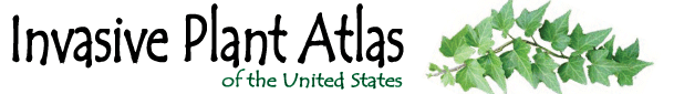 Invasive Plant Atlas of the United States Logo