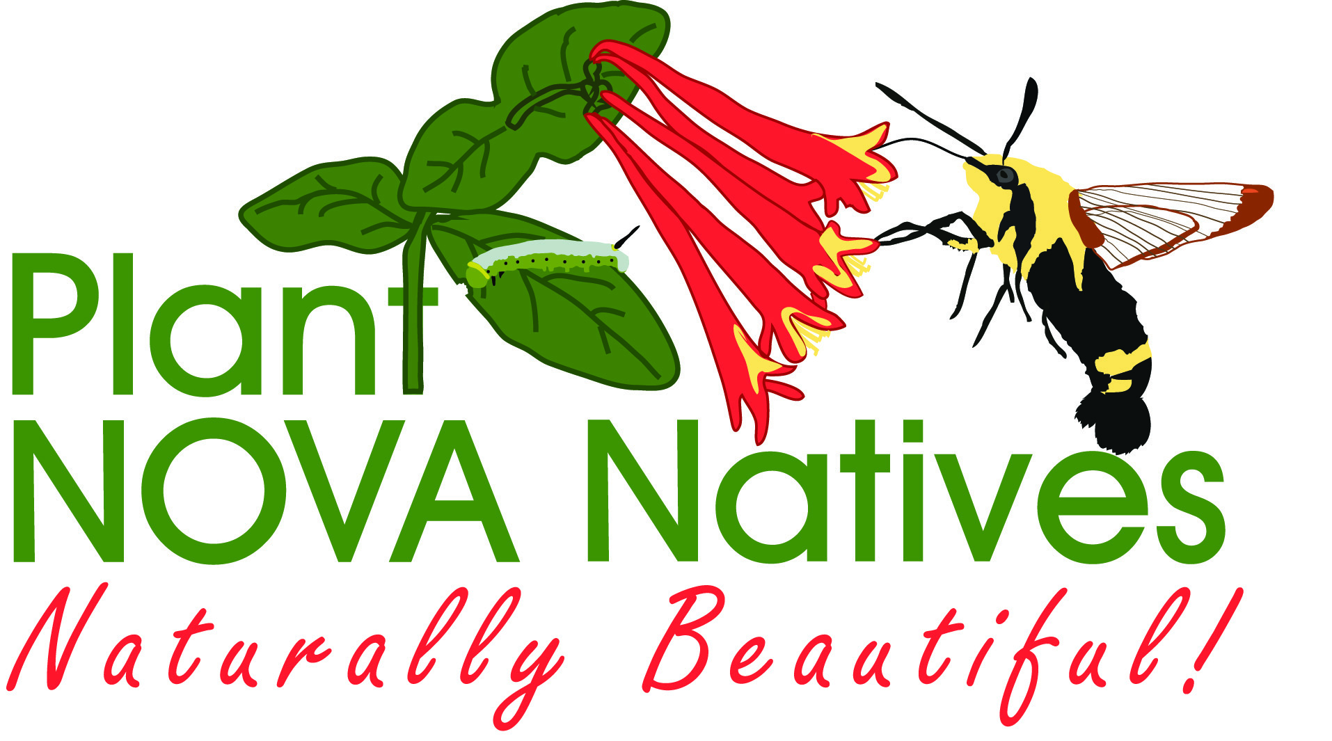 Plant NoVA Natives Logo
