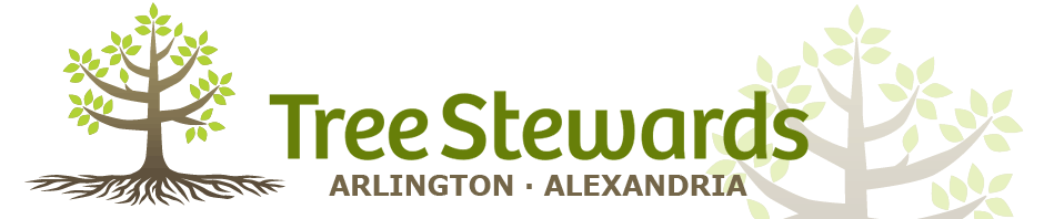Tree Stewards of Arlington and Alexandria