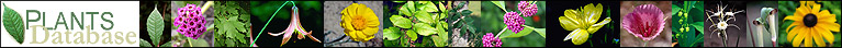 USDA Plants Database Logo
