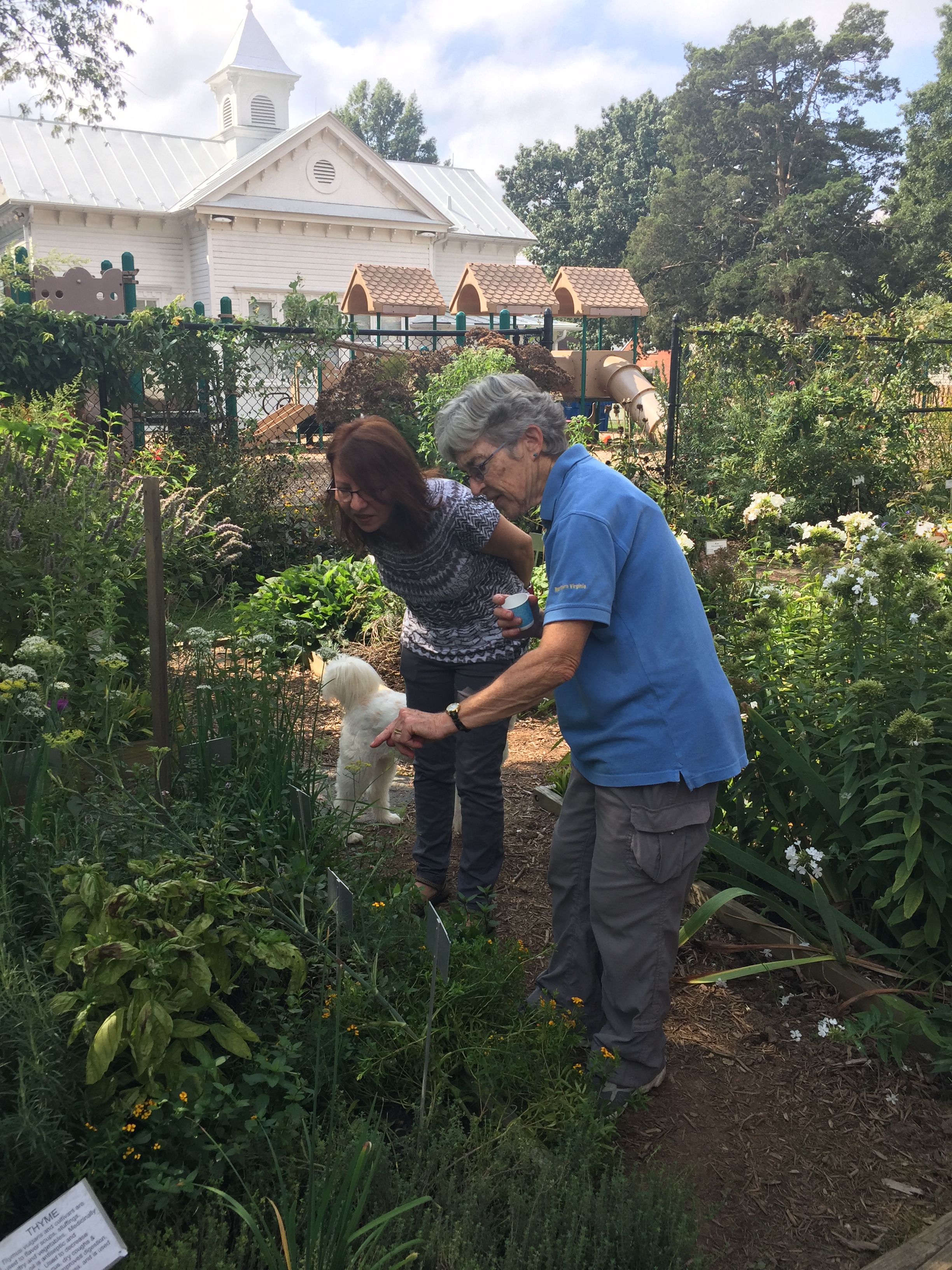 Judy Checking Fennel