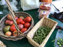 Tomatoes - Sungolds packaged for AFAC, cherokee purples