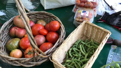 Tomatoes - Sungolds packaged for AFAC, cherokee purples