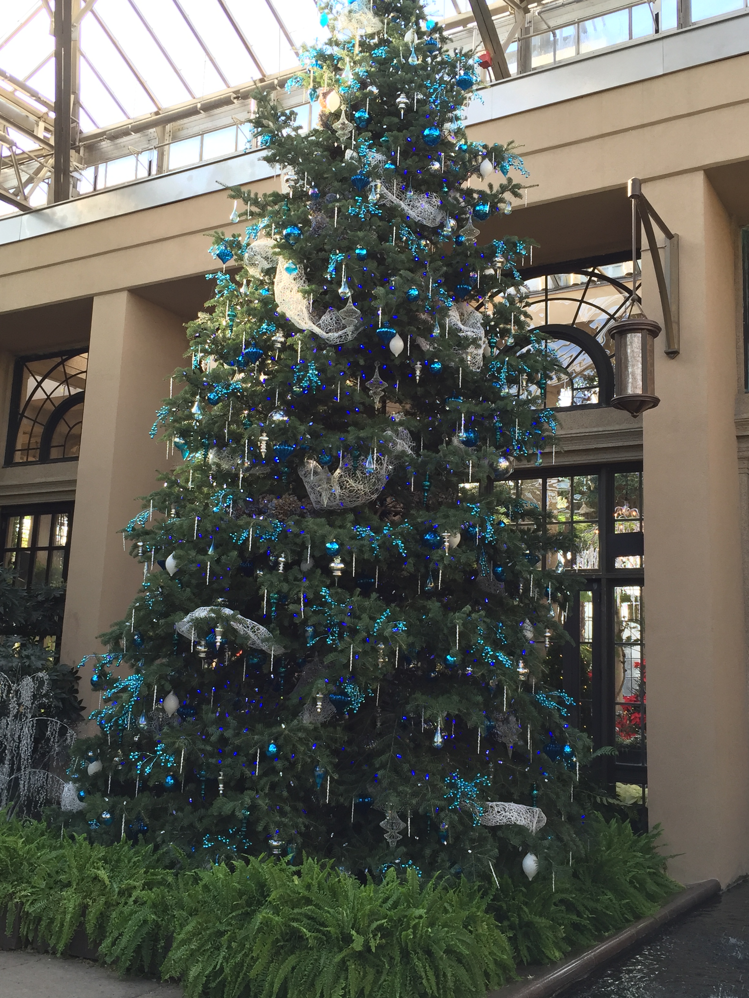Huge decorated tree carries through the color theme in the East Conservatory.