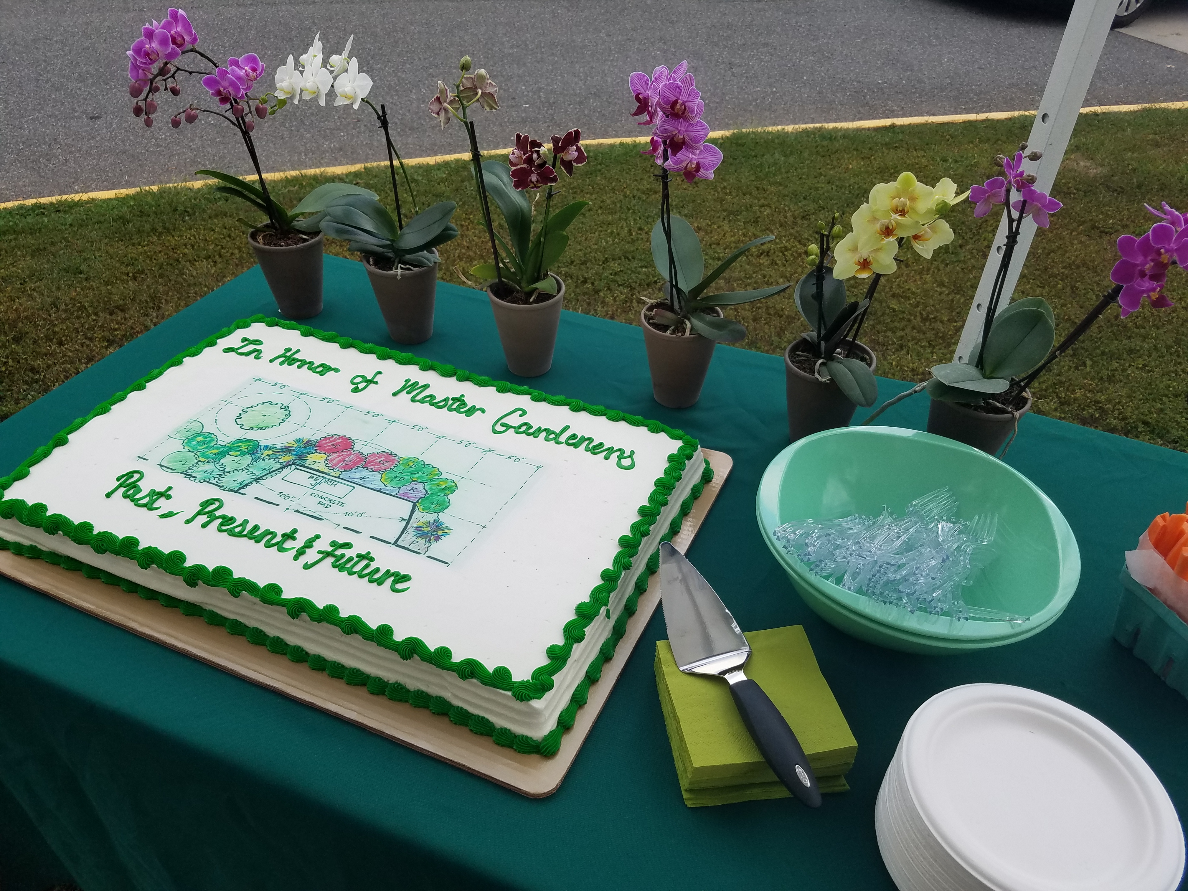 Sheet cake with garden plan on refreshments table