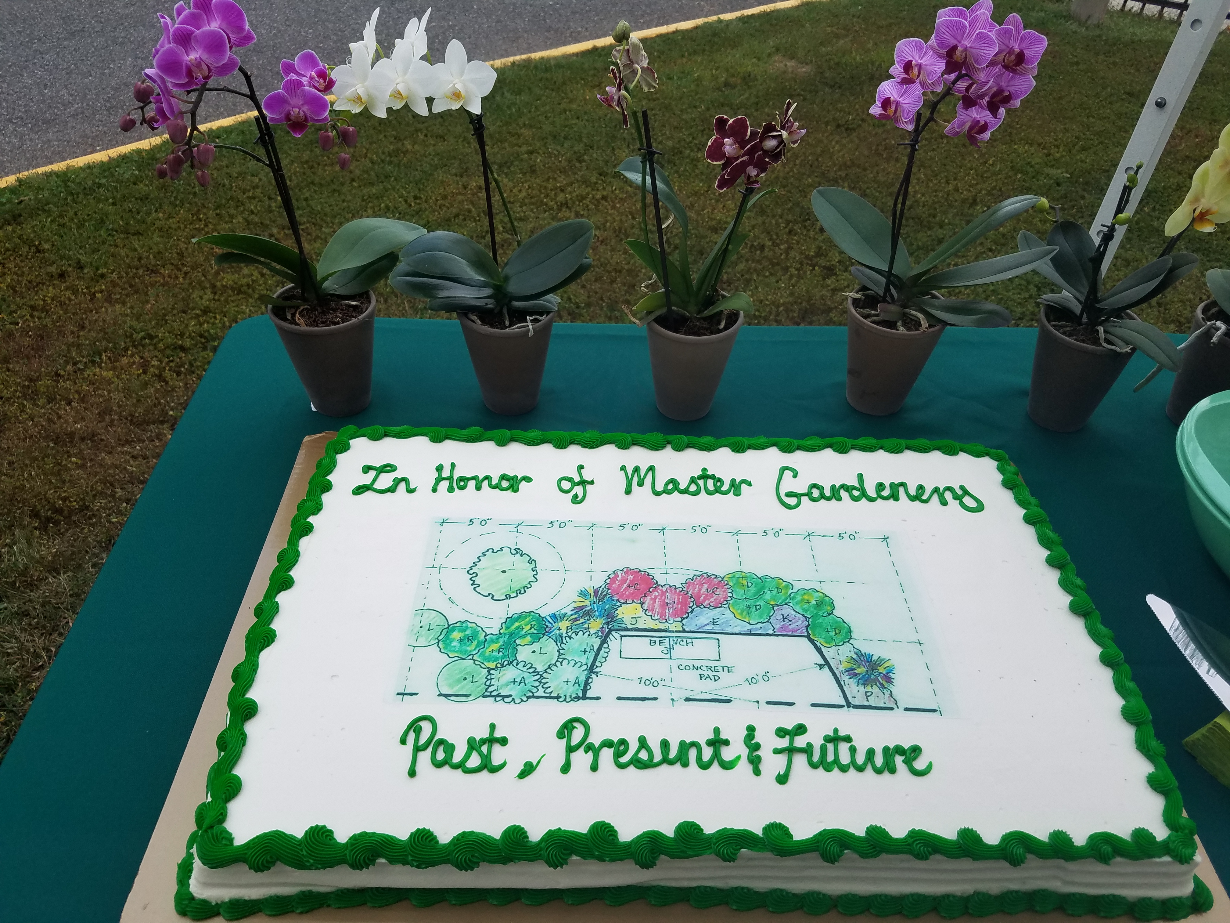 Sheet cake with garden plan on refreshments table