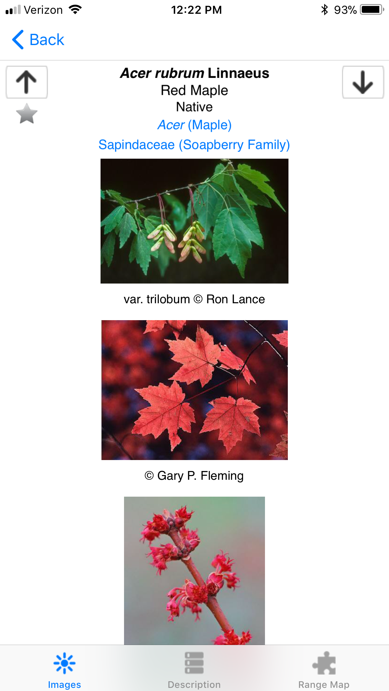Sample Images