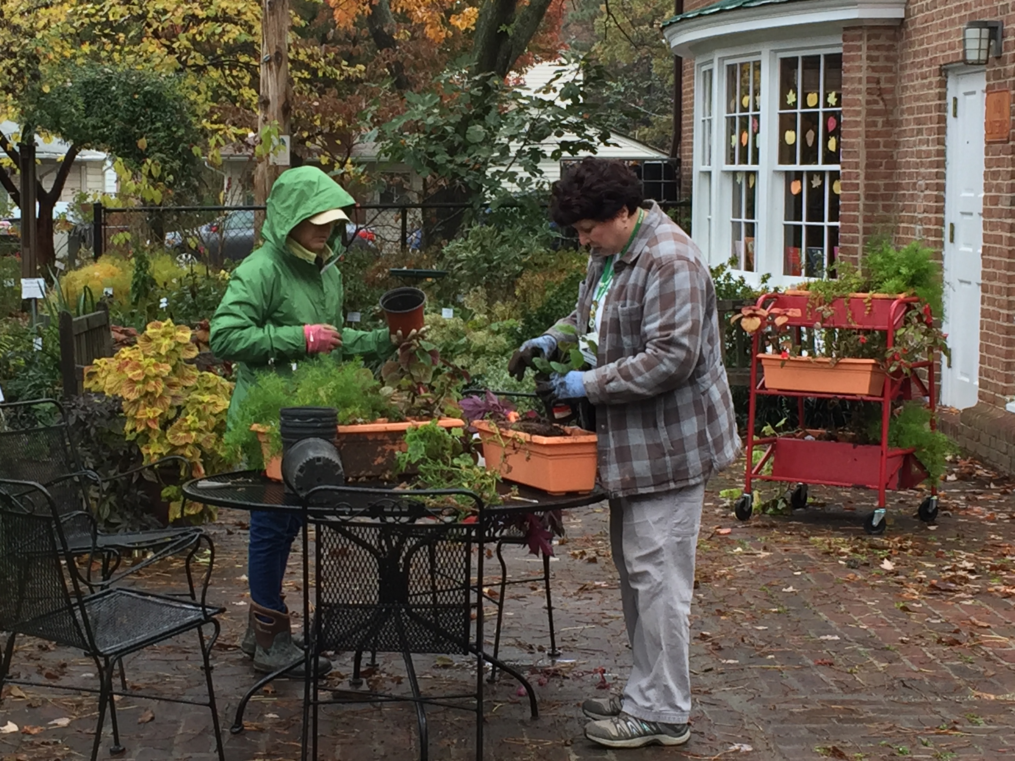 Wendy and Alyssa pot up plants for overwintering. Download permissions