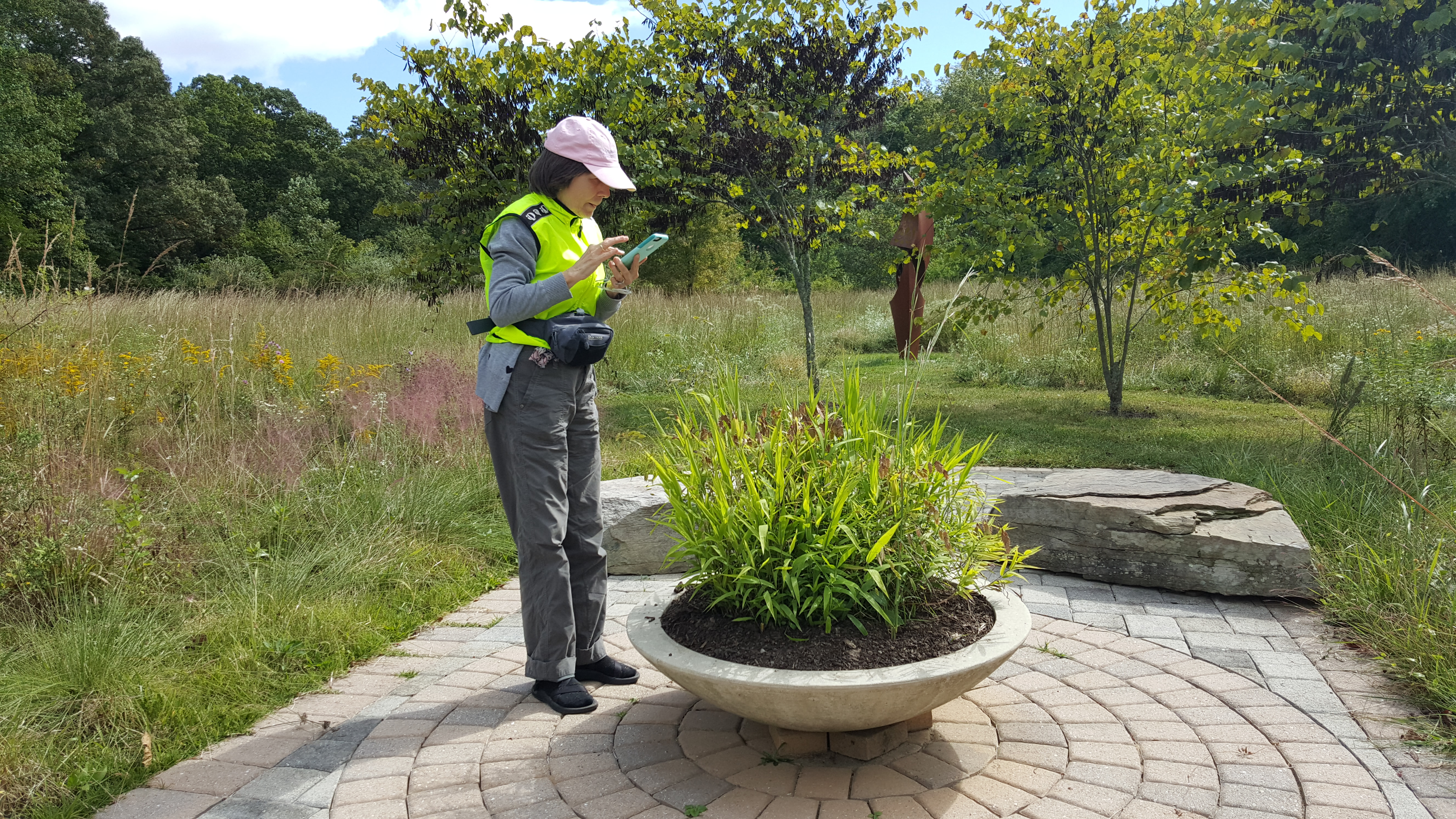 Elaine photographs a specimen for her talk on native grasses.