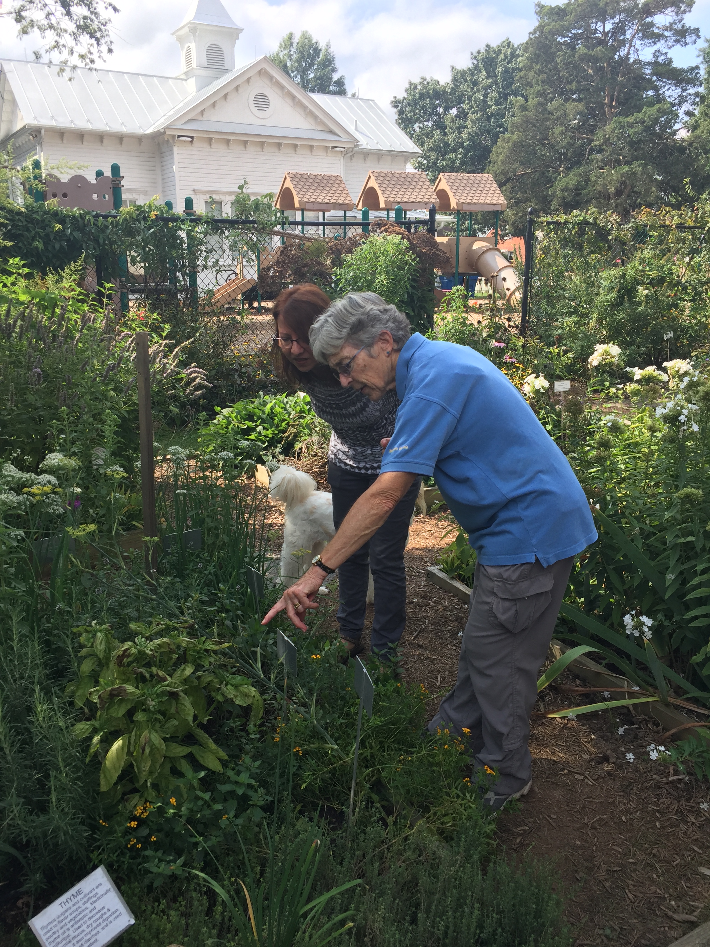 Judy points out a swallowtail caterpillar in the garden at AutumnFest.