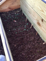Home made cold frame