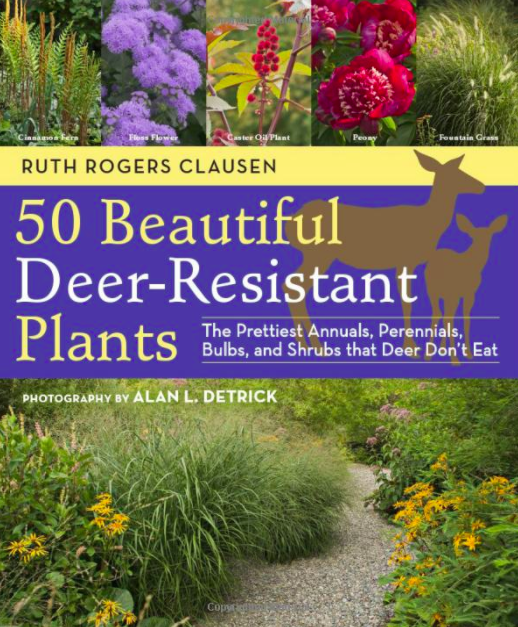 50 beautiful deer-resistant plants: the prettiest annuals, perennials, shrubs, ferns, bulbs, and shrubs that deer don't eat
