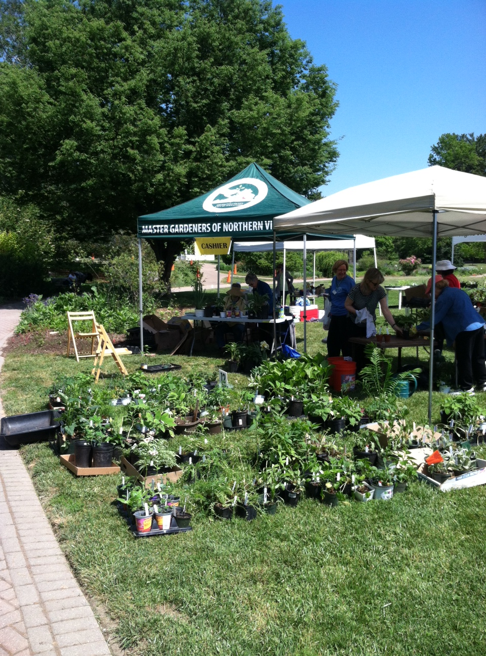 Plants Ready To Be Sorted at the 2015 Green Spring Plant Sale