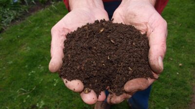 Hands holding soil