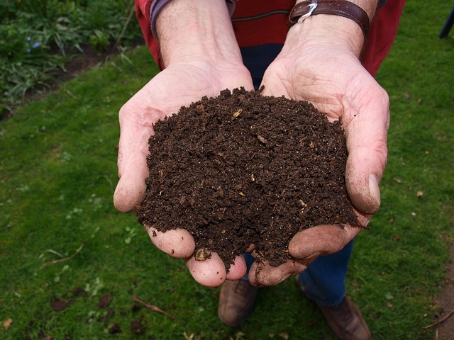 Hands holding soil