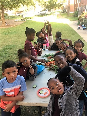 Harvest and snack
