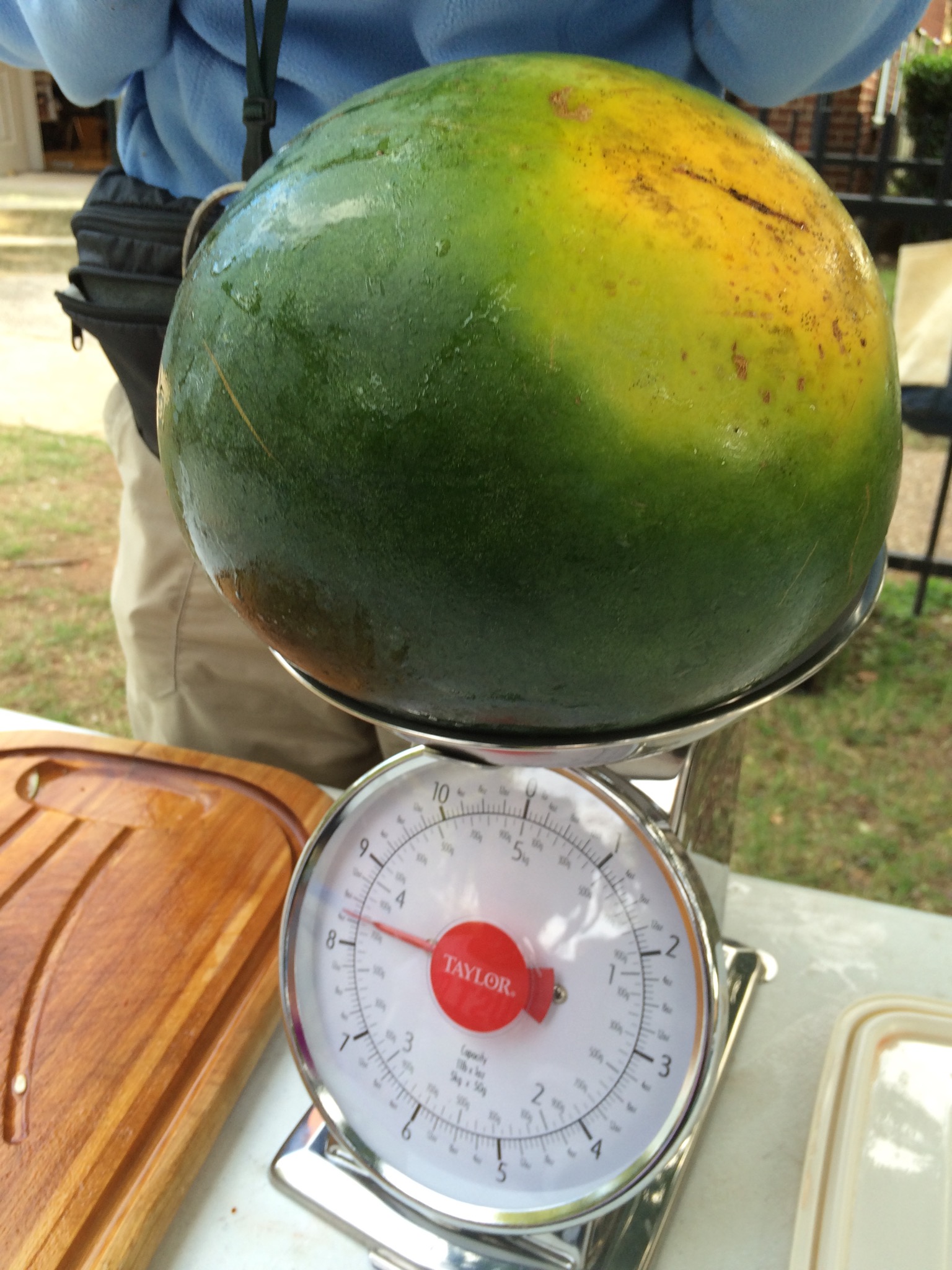 Weighing a watermelon.