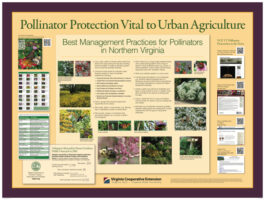 Pollinator Protection Vital to Urban Agriculture Poster