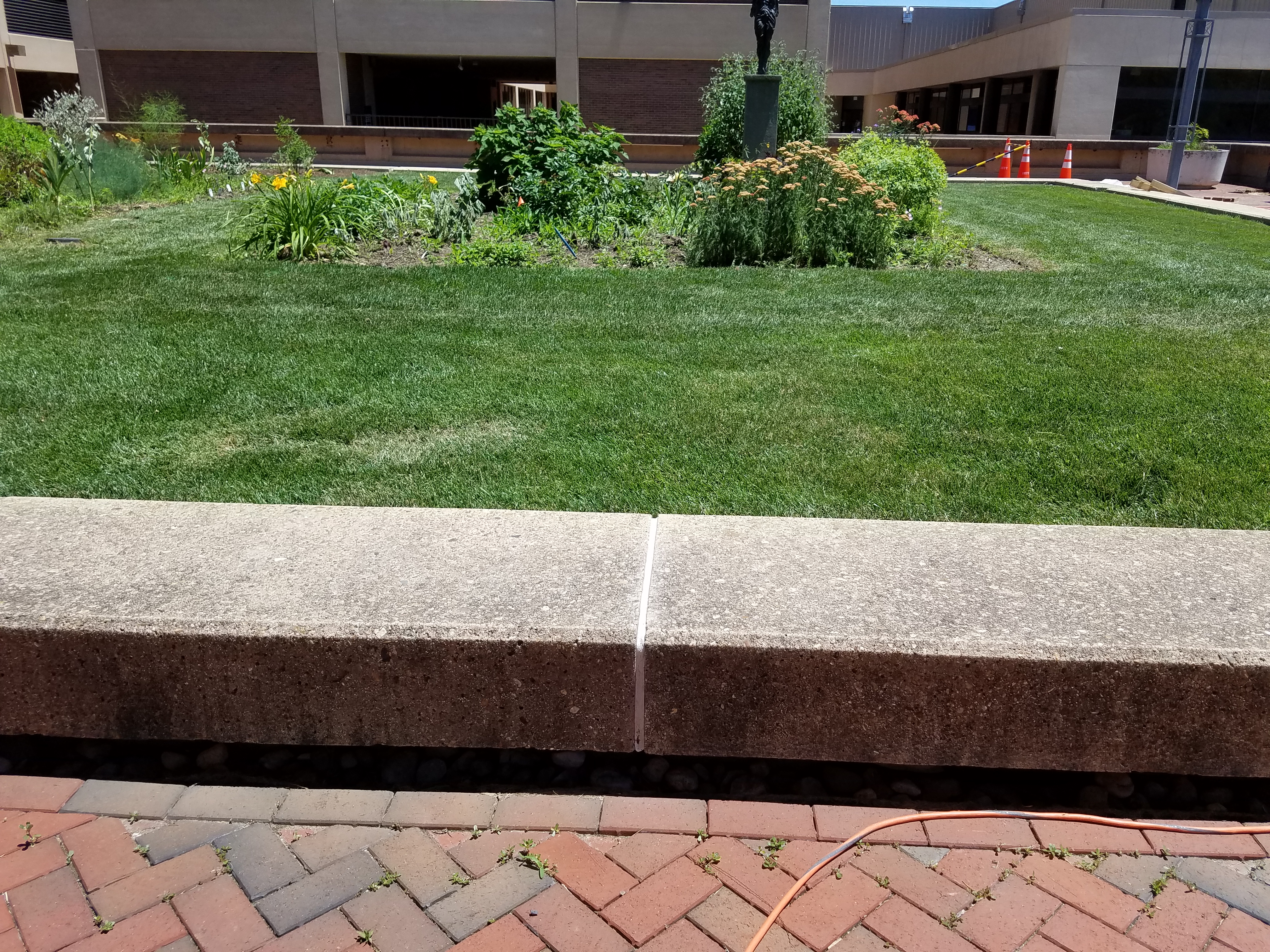 Urban Herb Gardens at Georgetown University Medical Center