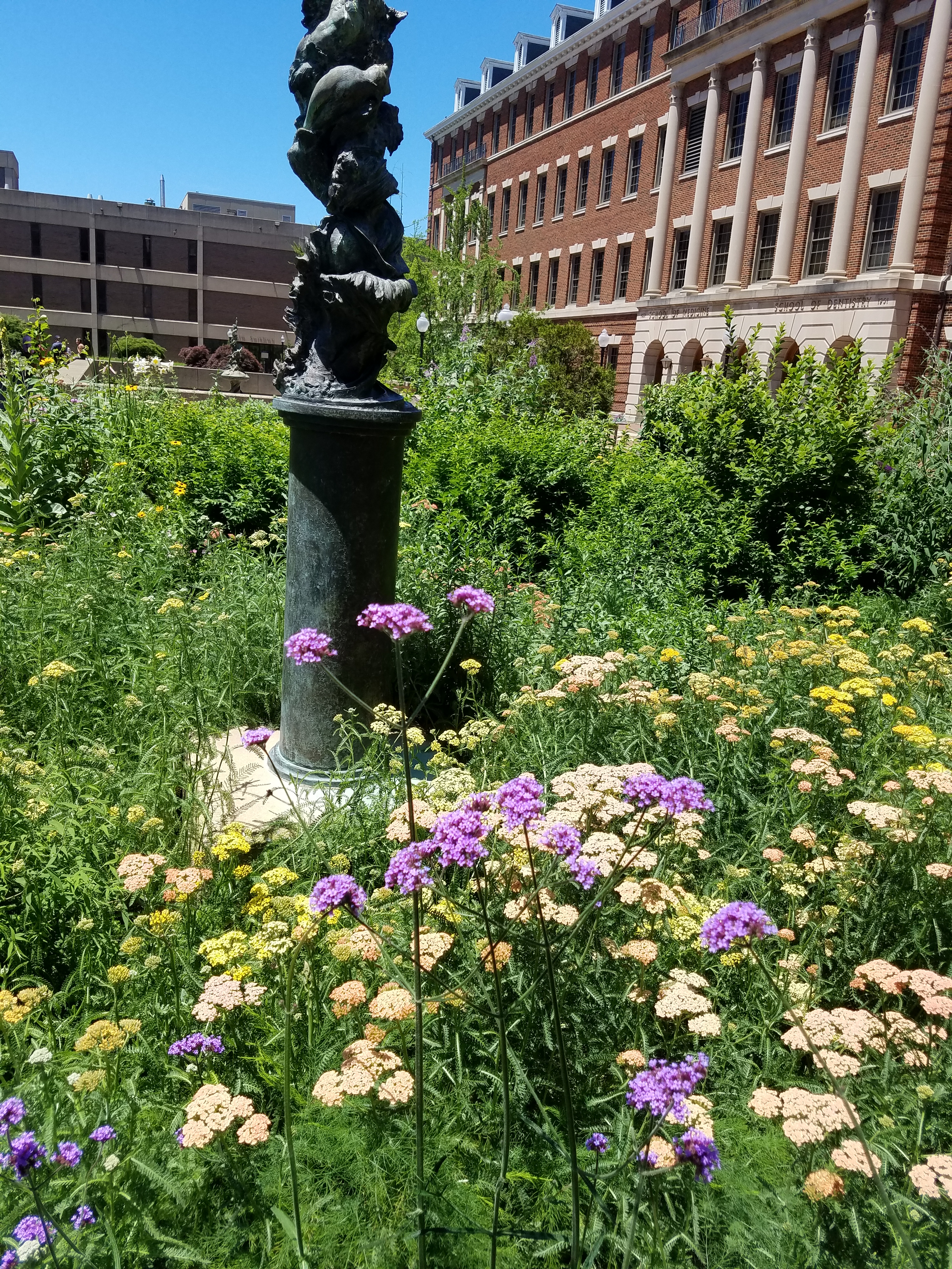 Statue in the Urban Herb Gardens at Georgetown University Medical Center