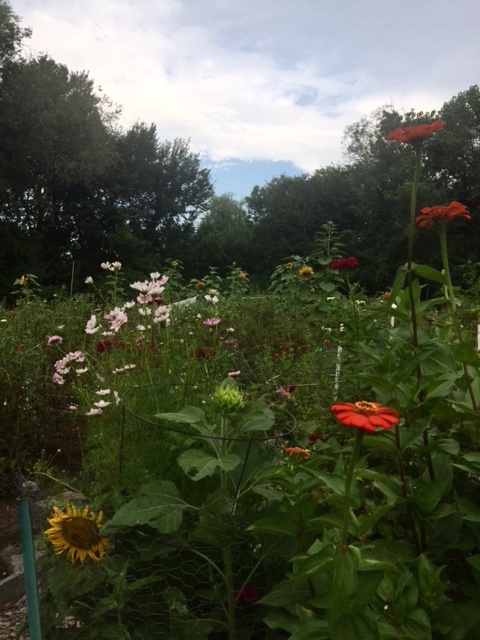 Jones Point Park Community Garden