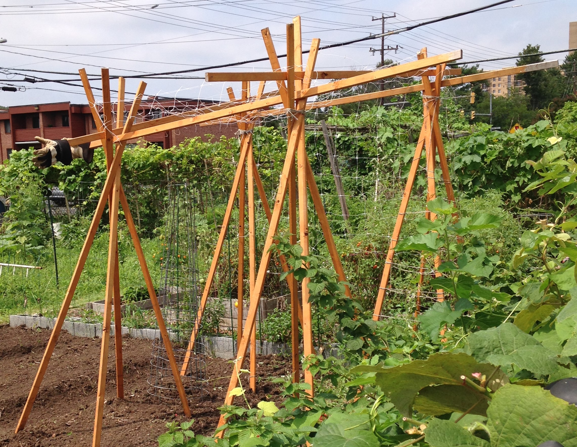 Plant supports, in South Four Mile Run Community Garden