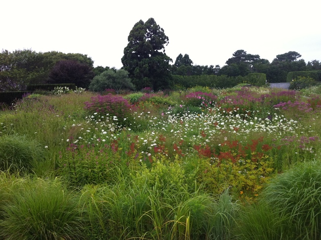 Meadow garden