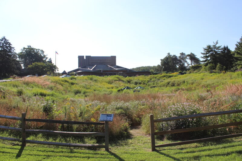 Native Meadow, August 2014Native Meadow, August 2014 Credit: NPS Photo Native meadow in it's second summer
