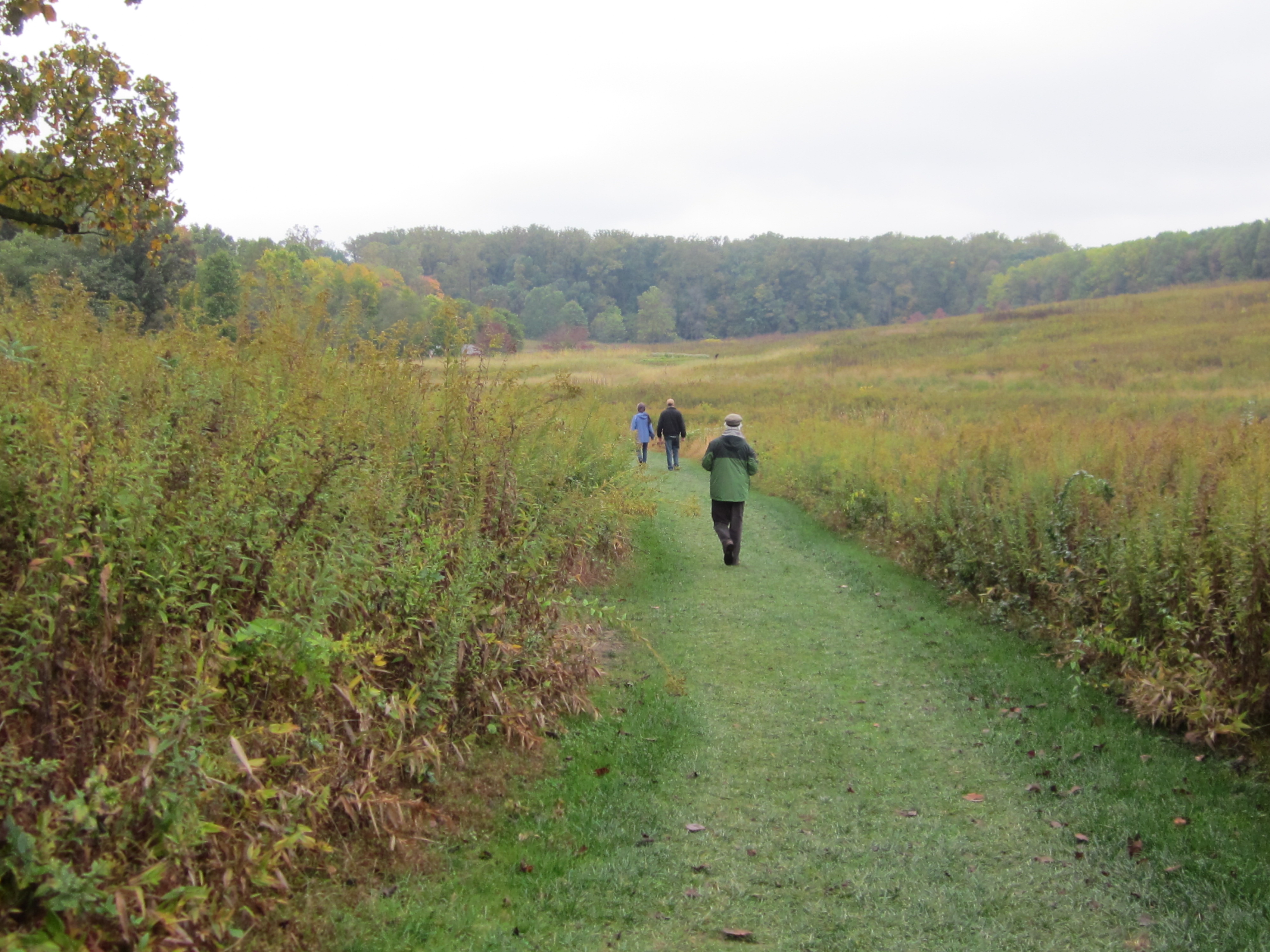 Mown paths lead visitors on hikes of various lengths through the meadow. Photo ©2014 Elaine Mills