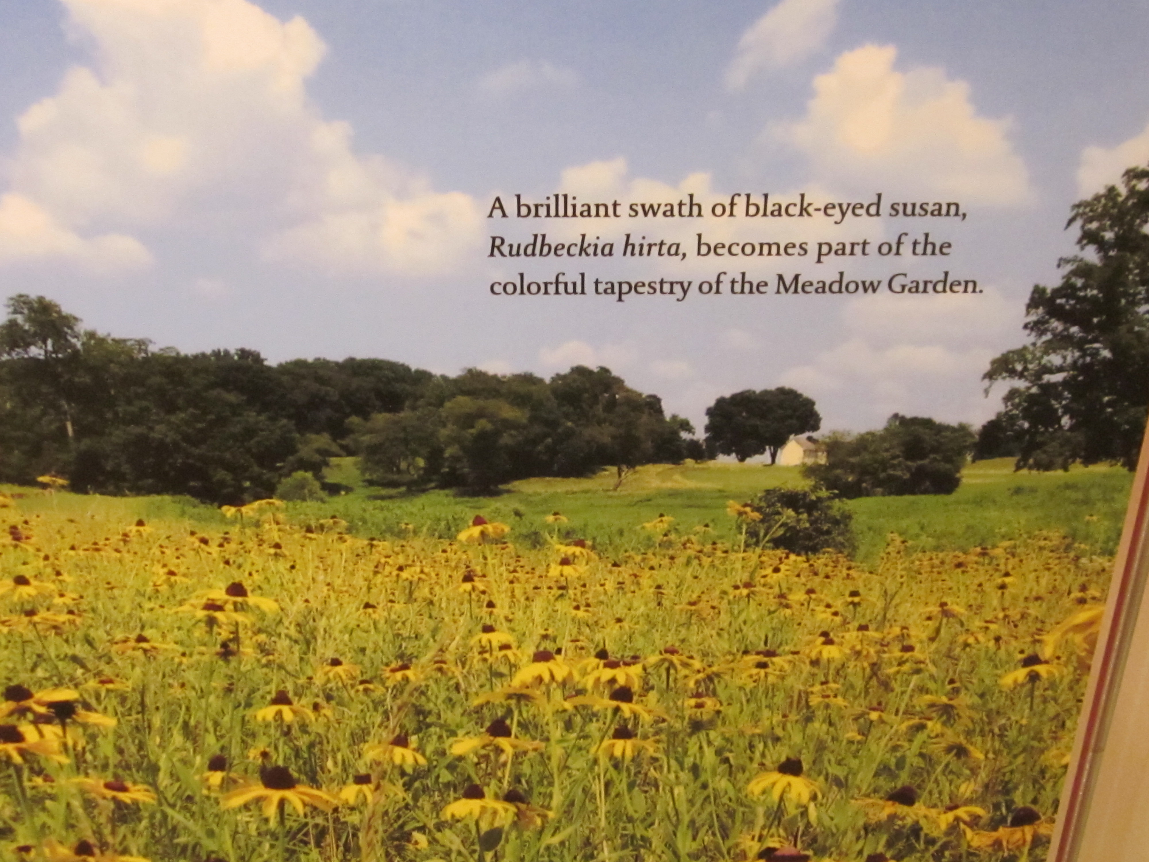 A photograph from the farmhouse gallery. Photo © 2014 Elaine Mills