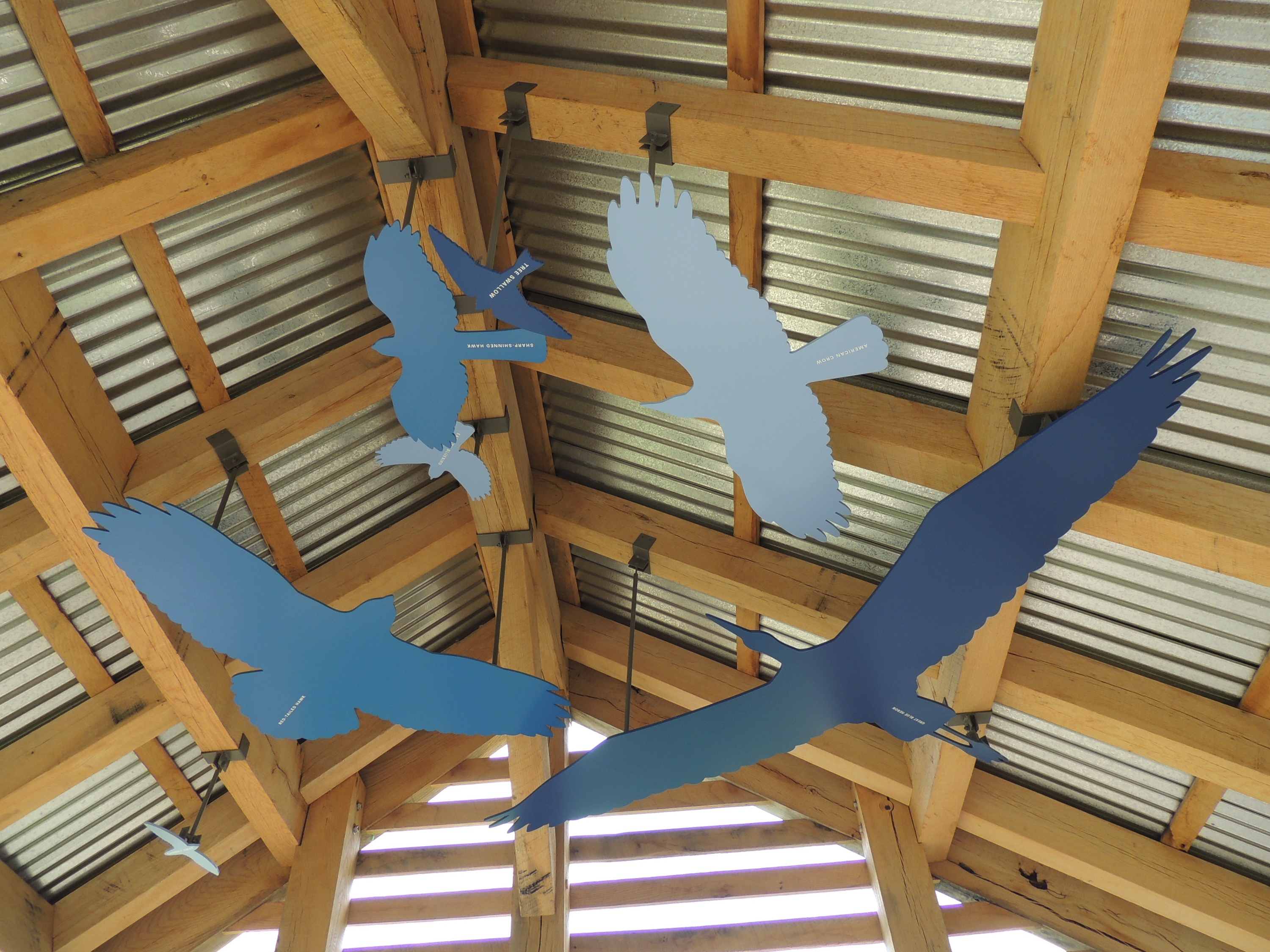 Carved bird silhouettes help with species identification. Photo by Cathy Matos, Longwood Gardens Web site.