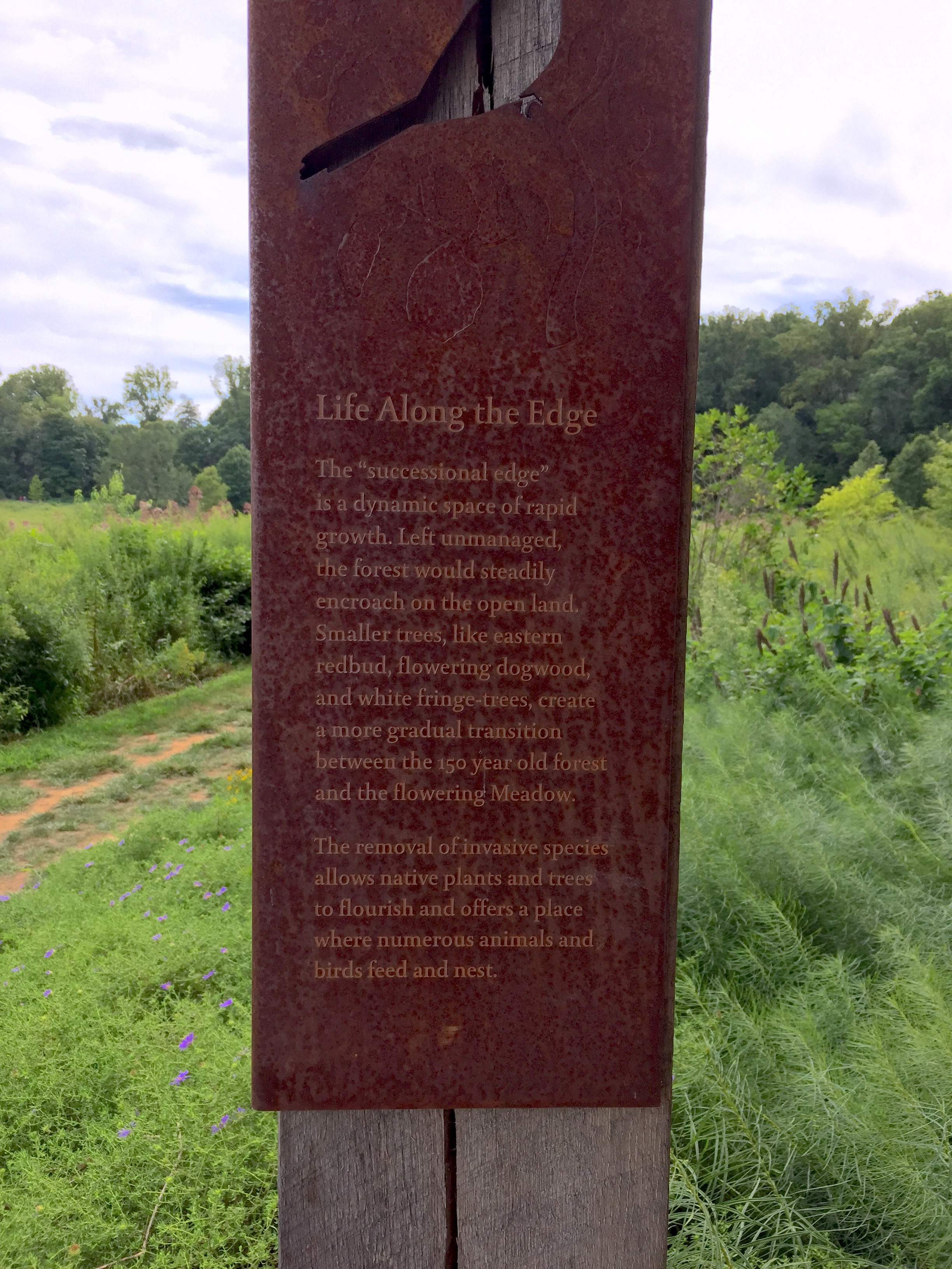 Interpretive signage is found throughout the meadow. Photo © 2015 Elaine Mills