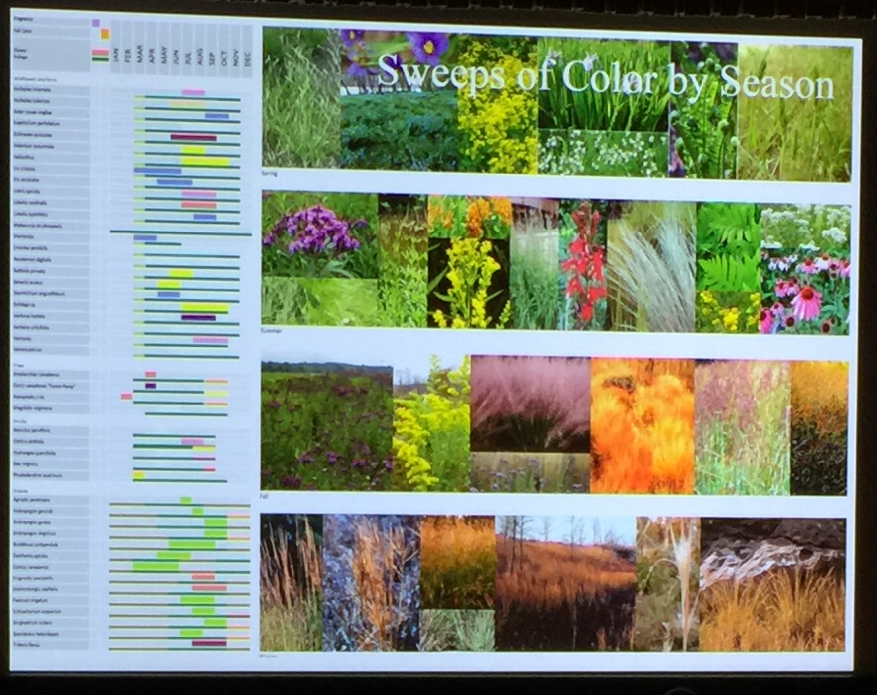 2017 presentation on the meadow illustrates the range of colors in the meadow through the seasons. Photo © 2017 Elaine Mills