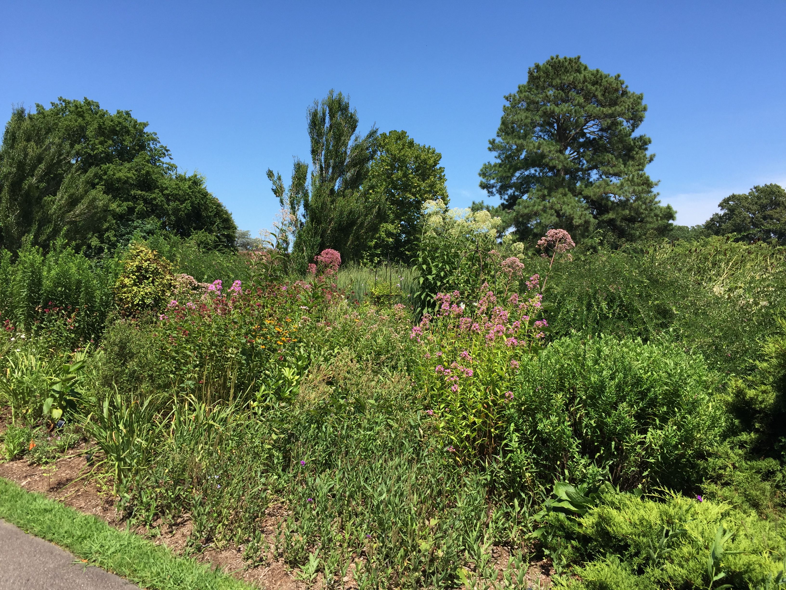 The Border Garden is inspired by renowned landscape designers Beatrix Farrand and Gertrude Jekyll. Photo © 2018 Elaine Mills.