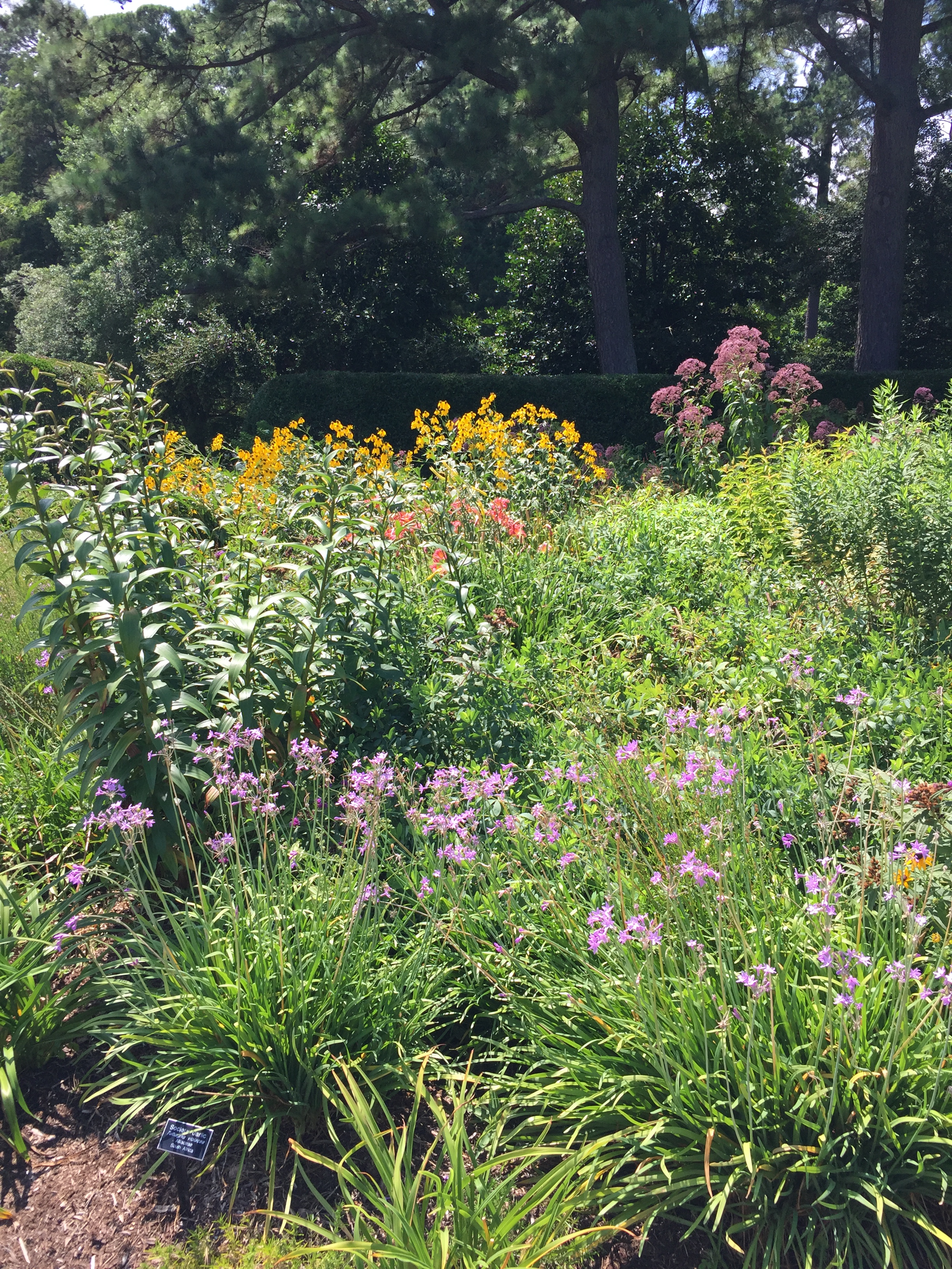 The Perennial Garden overflows with colorful plantings. Photo © Elaine Mills