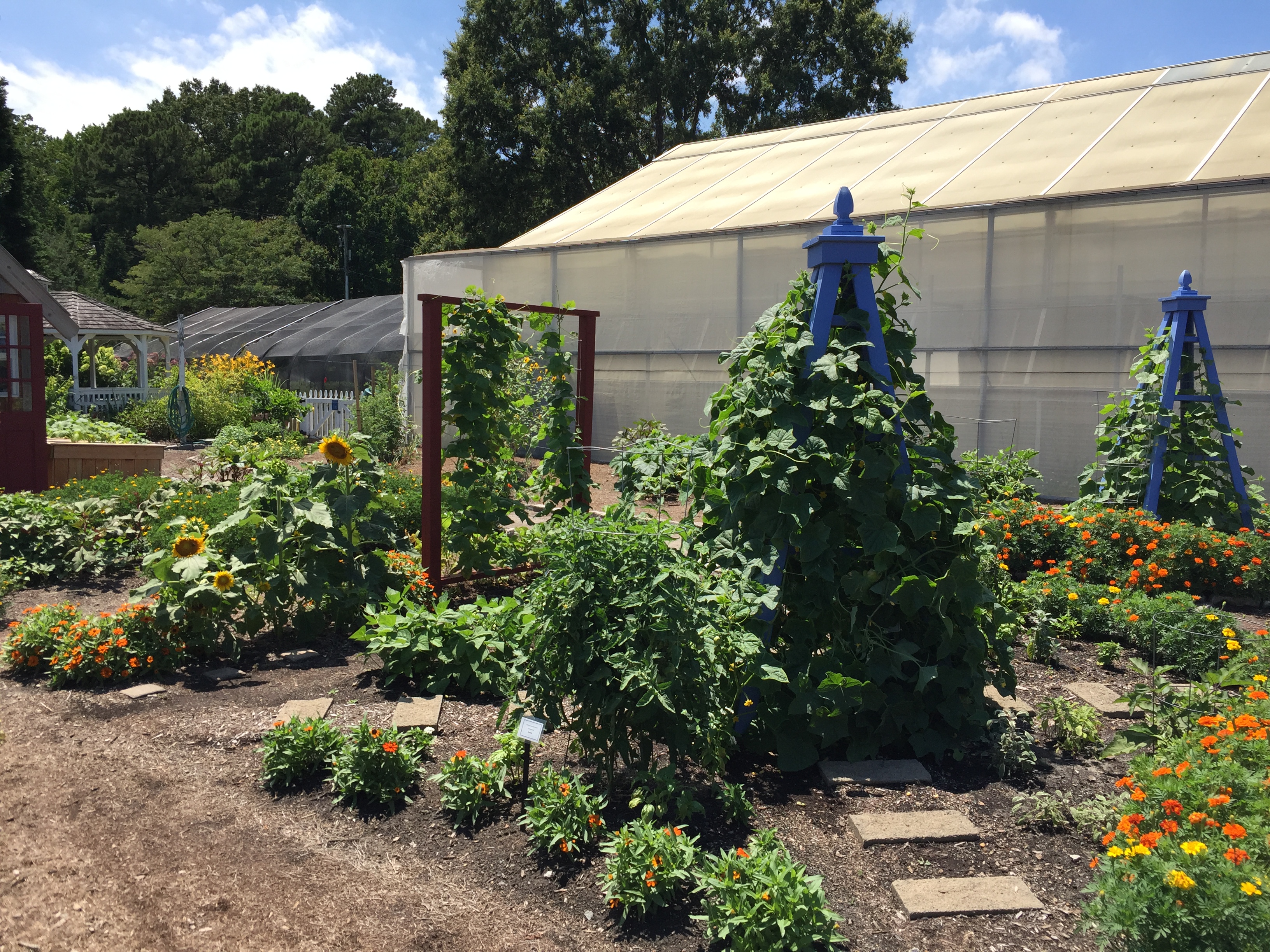 The Kitchen Garden has vegetables interplanted with herbs and flowers. Photo © 2018 Elaine Mills.