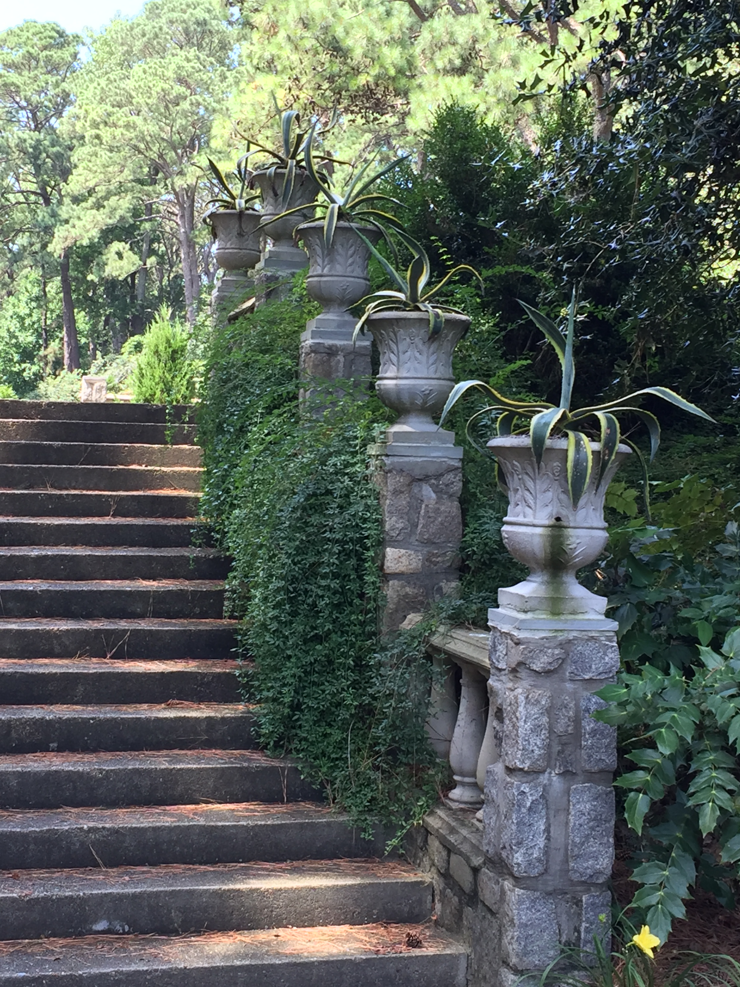 Steps leading to the Renaissance Court. Photo © 2018 Elaine Mills.