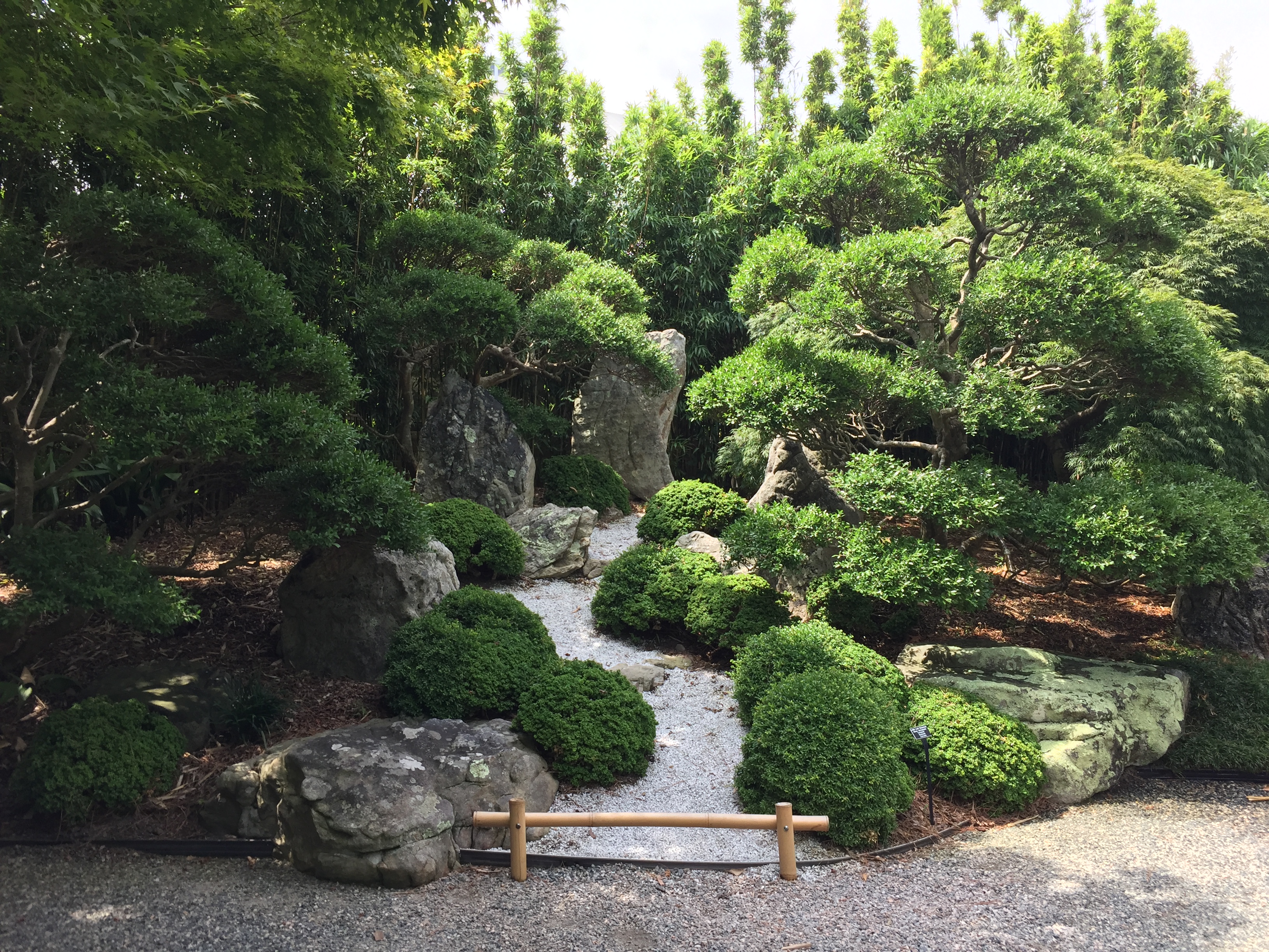 Evergreen plants are combined with stones in the Japanese Garden. Photo © 2018 Elaine Mills.