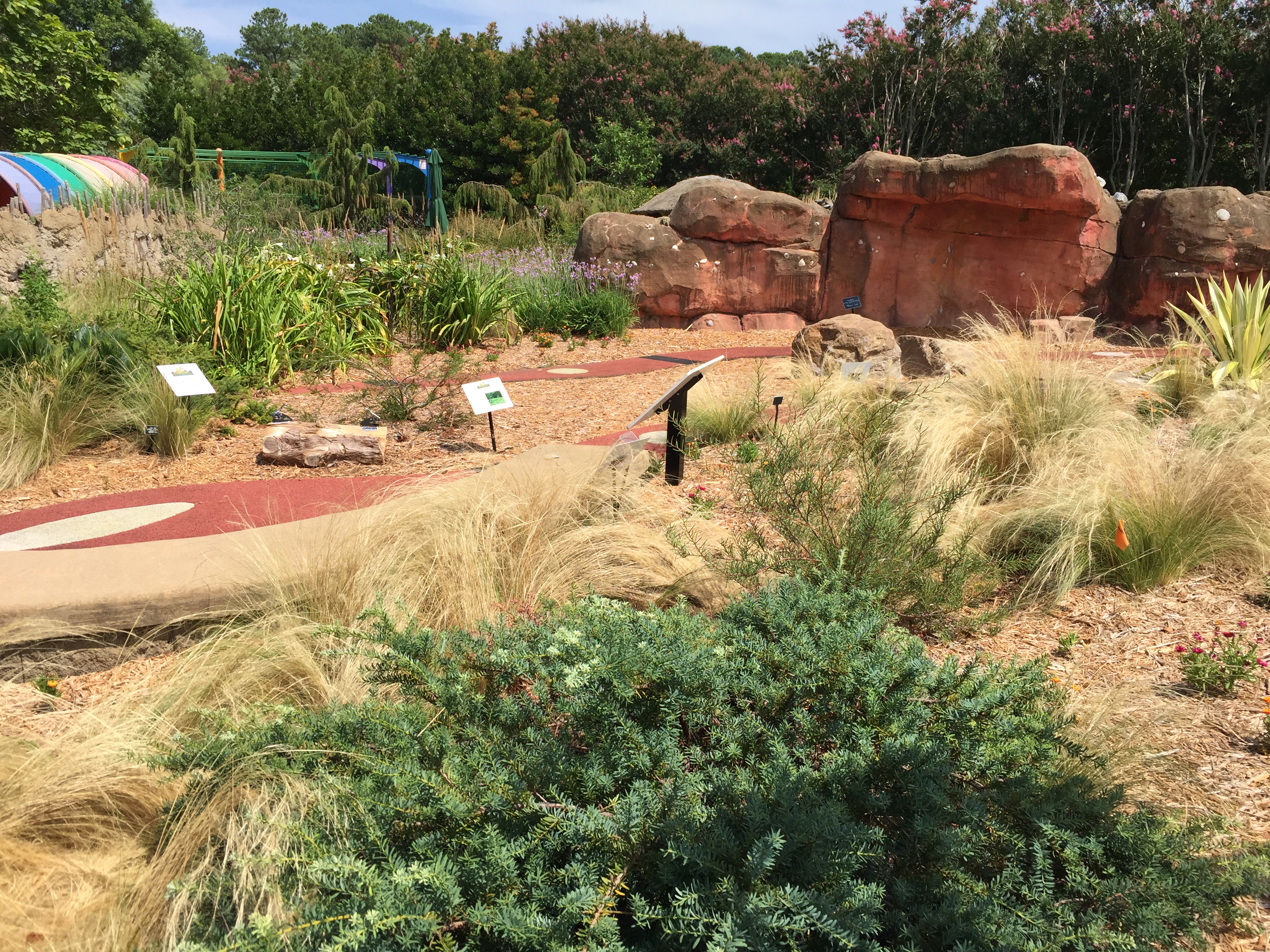 The Australian desert, one of the habitats on the children’s Plant Safari. Photo © 2018 Elaine Mills