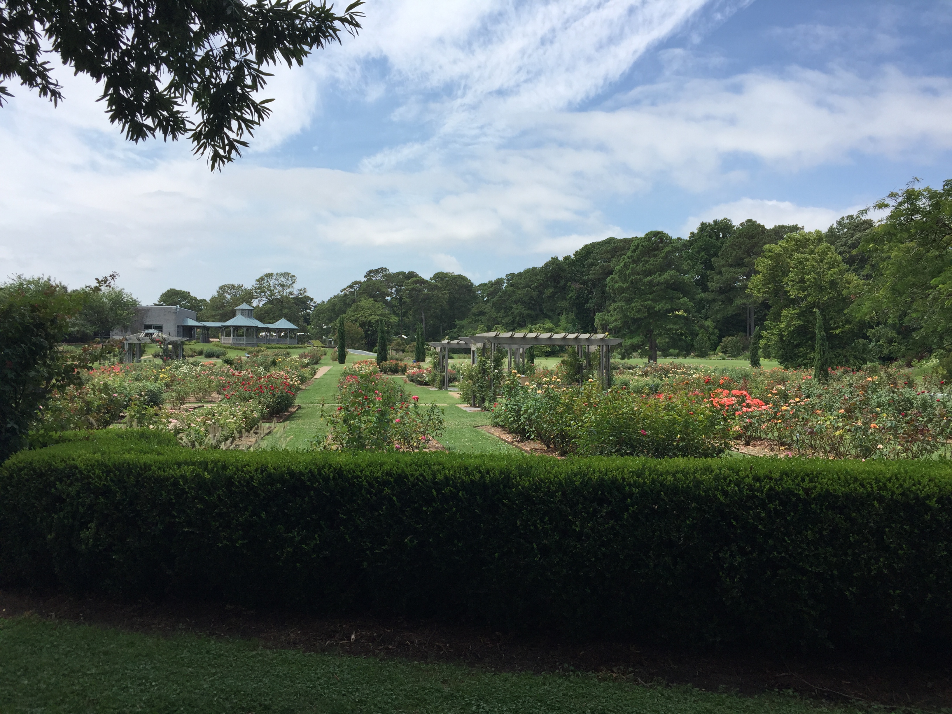 The tram tour gives an overview of garden areas. Photo © 2018 Elaine Mills.