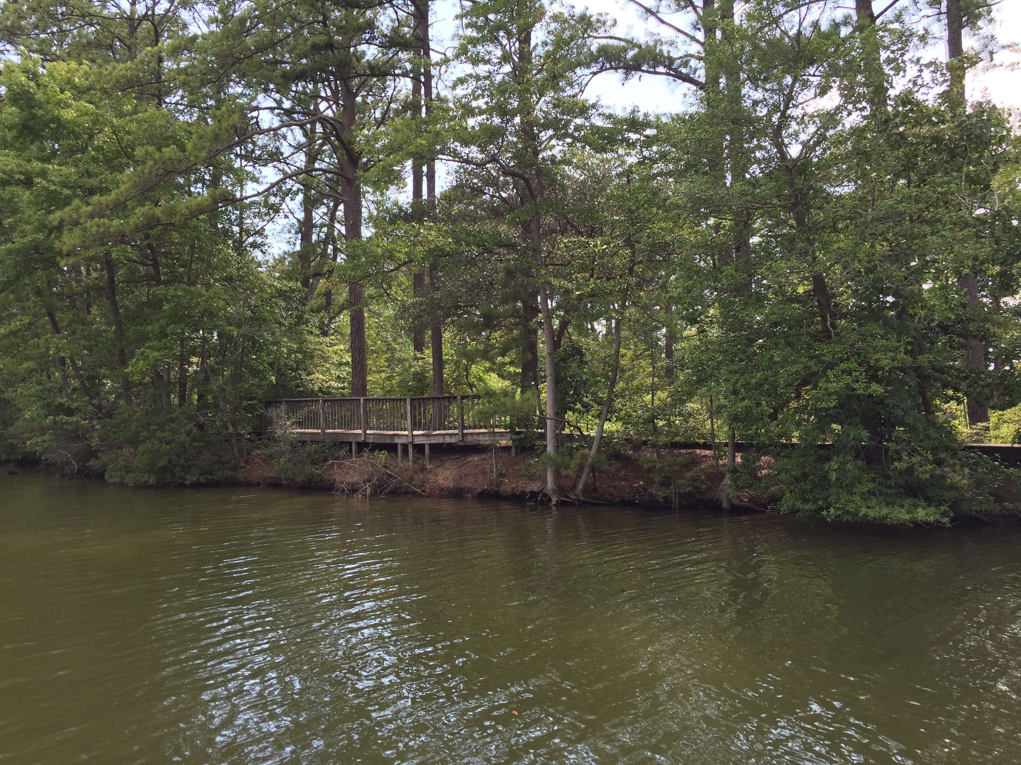 The Virginia Native Plant Garden from Lake Whitehurst. Photo © 2018 Elaine Mills.