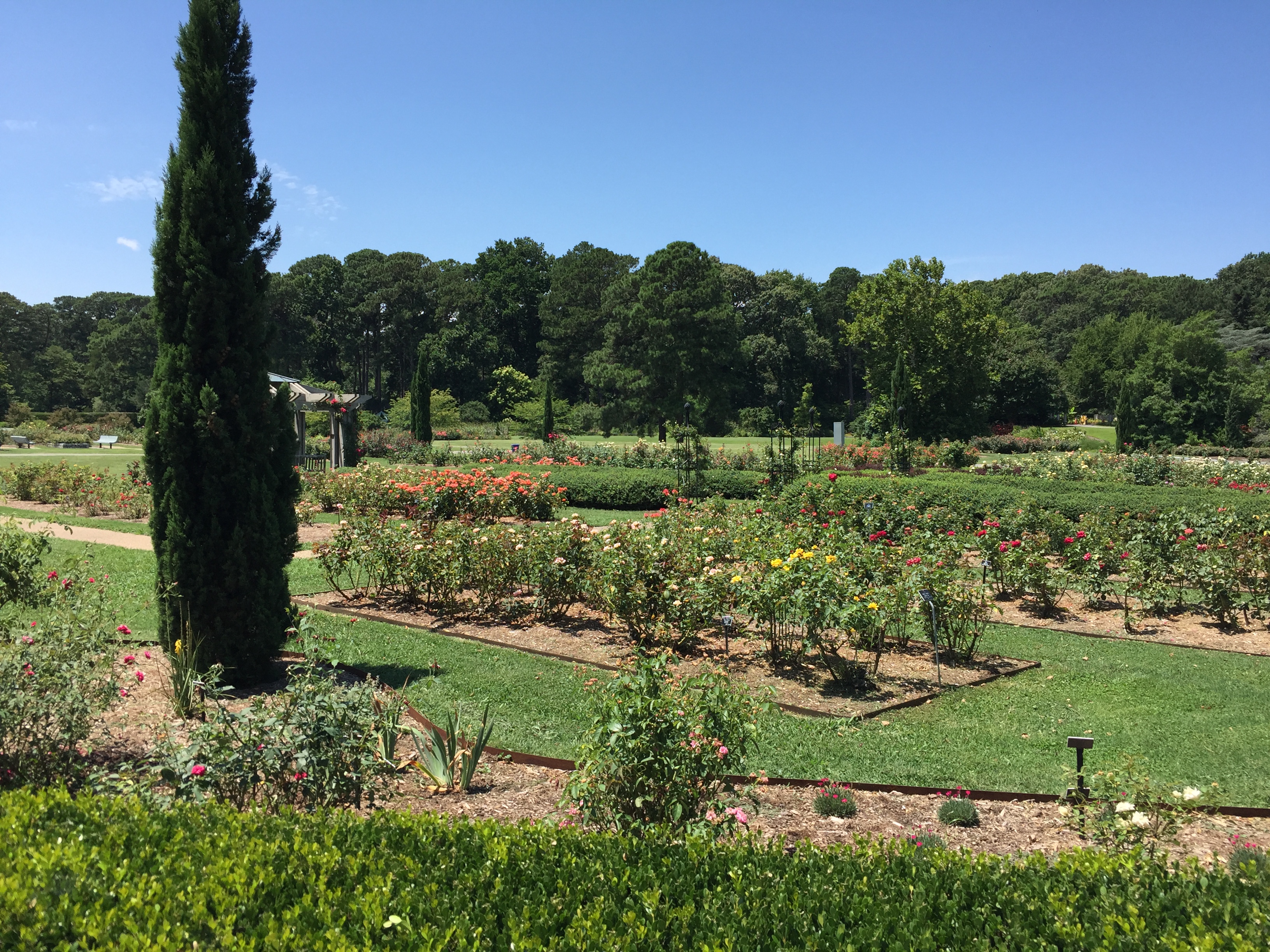 View from the border of the Bicentennial Rose Garden. Photo © 2018 Elaine Mills.