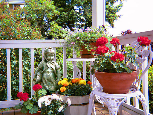 Container garden on front porch April 2006