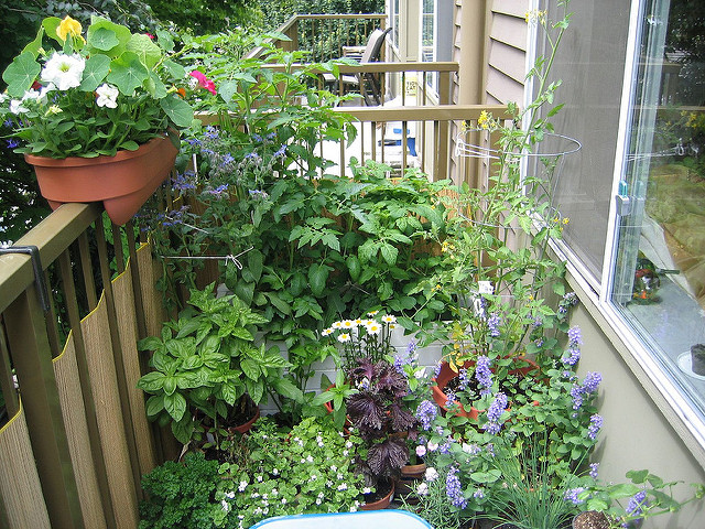 Balcony Garden 2006
