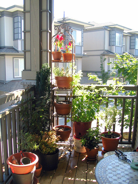 balcony garden Photo © 2008 Jennifer Feuchter