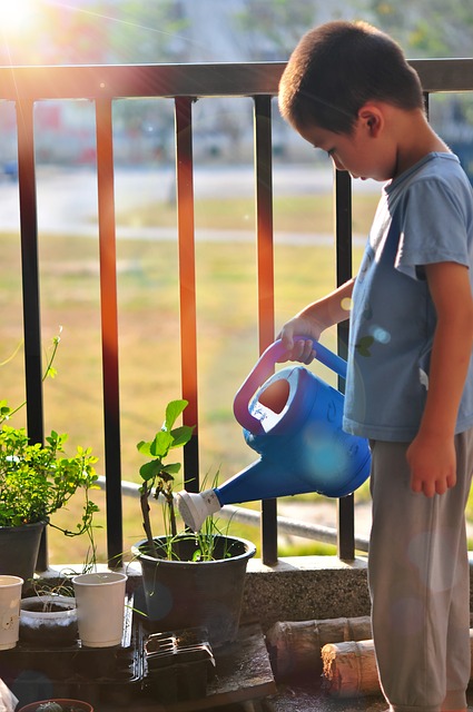 Child watering balcony garden