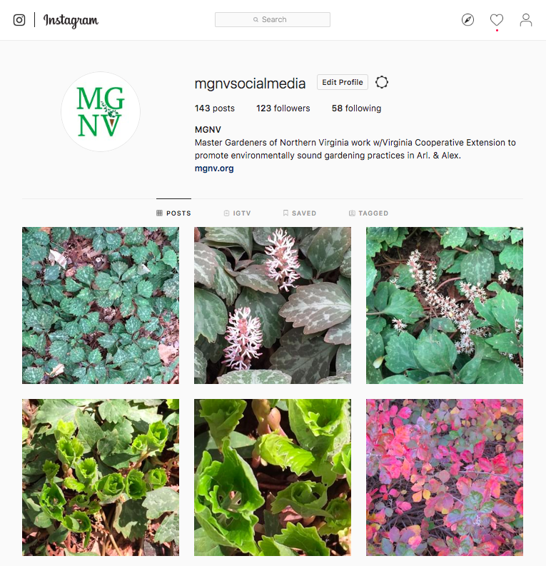 Instagram Dashboard