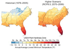 Increasing winter temperatures are expected to result in a northward shift of the zones conducive to growing various types of plants, known as plant hardiness zones. These maps show the mean projected changes in the plant hardiness zones, as defined by the U.S. Department of Agriculture (USDA), by the late 21st century (2070–2099) under a higher scenario (RCP8.5). The USDA plant hardiness zones are based on the average lowest minimum temperature for the year, divided into increments of 5°F. Based on these projected changes, freeze-sensitive plants, like oranges, papayas, and mangoes, would be able to survive in new areas.142 Note that large changes are projected across the region, but especially in Kentucky, Tennessee, and northern Arkansas. Sources: NOAA NCEI and CICS-NC  