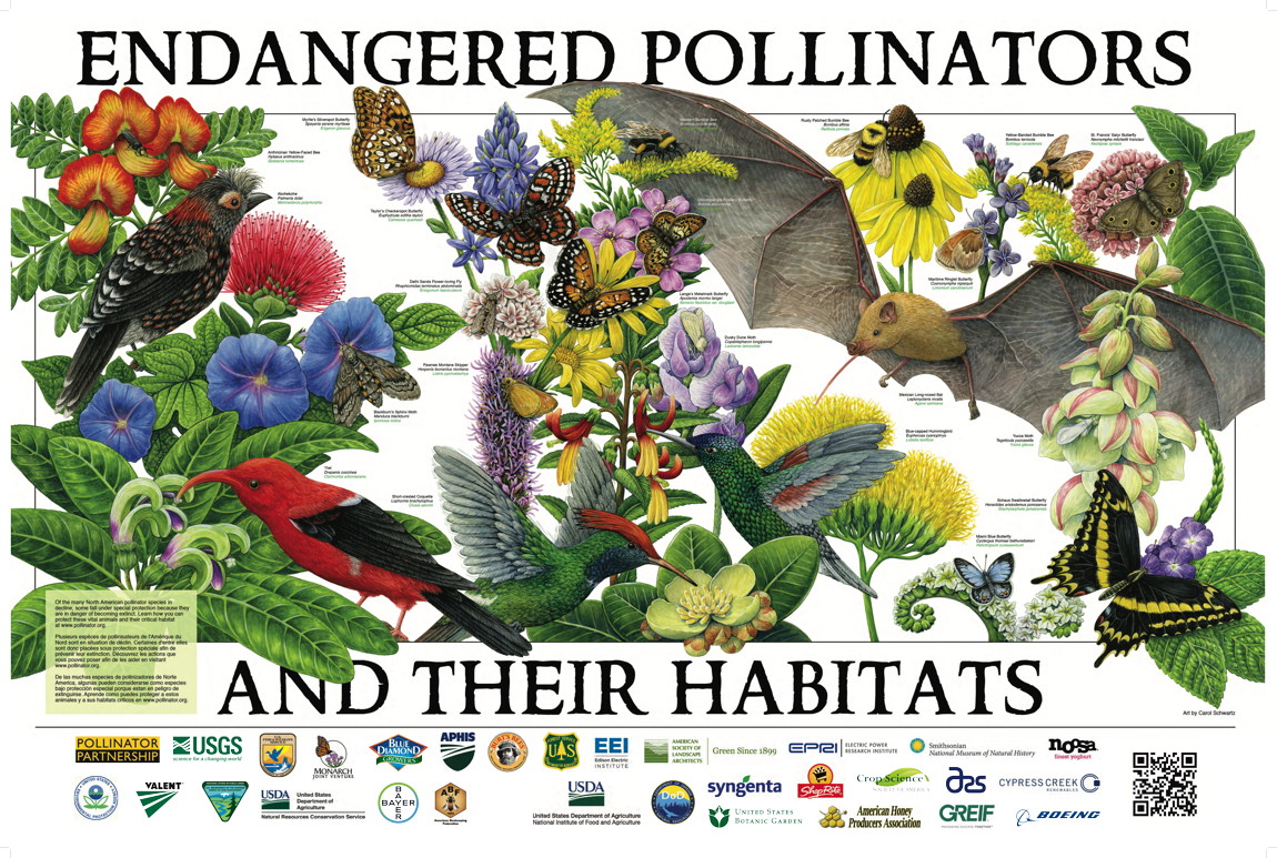 Endangered pollinators and their habitats