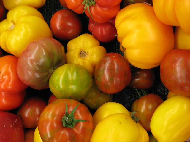 colorful heirloom tomatoes